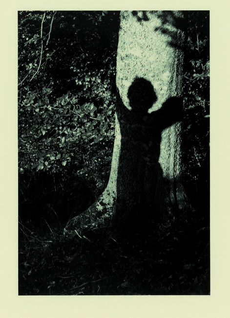 Lothar Baumgarten (*1944) Sin título (Tronco de árbol consombra) 1978 Litografía offset según fotografía Colección del Deutsche Bank