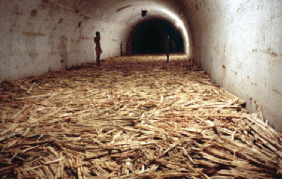 Untitled (Havana, 2000), 2000. Video Performance - Installation with milled sugar cane, black and white monitor, Cubans, DVD disc, DVD player. Dimensions: 13.12' x 39.37 x 164.04'. Photo: Casey Stoll. Courtesy of the artist. Sin título (Habana, 2000), 2000. Video Performance - Instalación con caña de azúcar molida, monitor blanco y negro, cubanos, disco de DVD, reproductor de DVD. Dimensiones: 4 x 12 x 50 m. Foto: Casey Stoll. Cortesía de la artista.