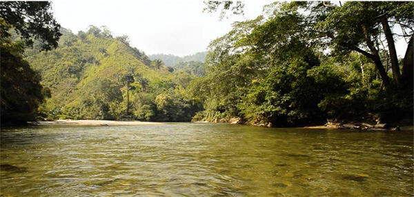 _Nefandus_, Award-winning Video and Solo Show by Carlos Motta in Lisbon