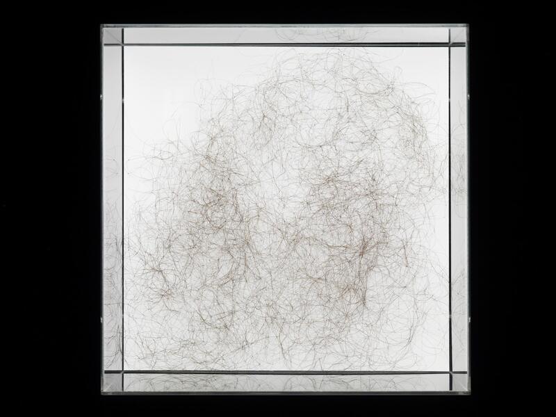 Gabriel de la Mora, Mexican, born 1968  M.E.A. I  2008  Tied human hair on paper in acrylic box  Collection of Maria Inés Sicardi  © Gabriel de la Mora