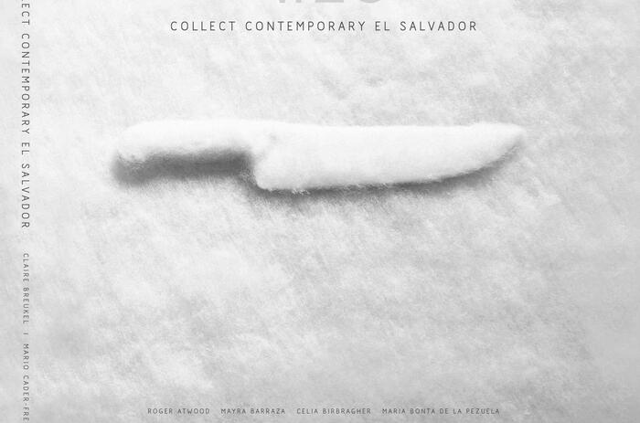 Y.ES Collect Contemporary Art El Salvador Y.ES Collect Contemporary Art El Salvador