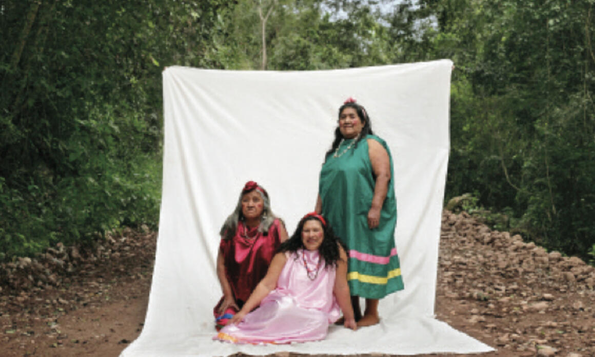 Julio Pantoja. From the series Madres del monte, 2007. 15.7 x 98.4 in. De la serie Madres del monte, 2007. 40 x 250 cm.