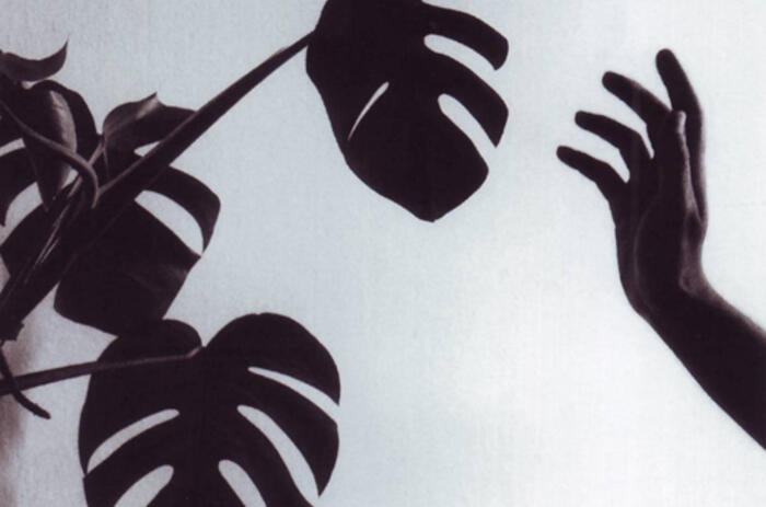 Chema Madoz Chema Madoz