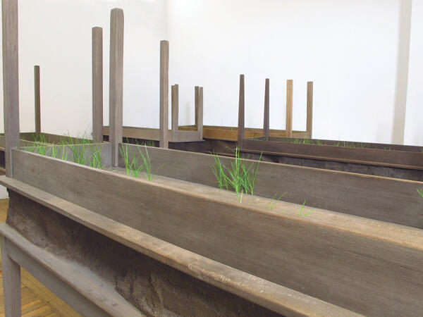 Doris Salcedo