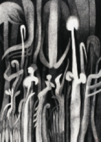 Guillermo Trujillo , El Embrujo de la Linea N.12, Courtesy/Cortesía Galería Habitante.