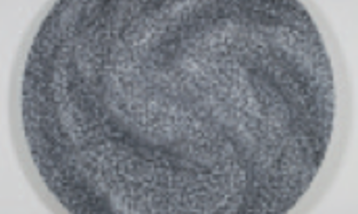 Grey Tondo, 2009. Acrylic on canvas, 48 in. Acrílico sobre tela, 122 cm. Courtesy/Cortesía Galería Petrus