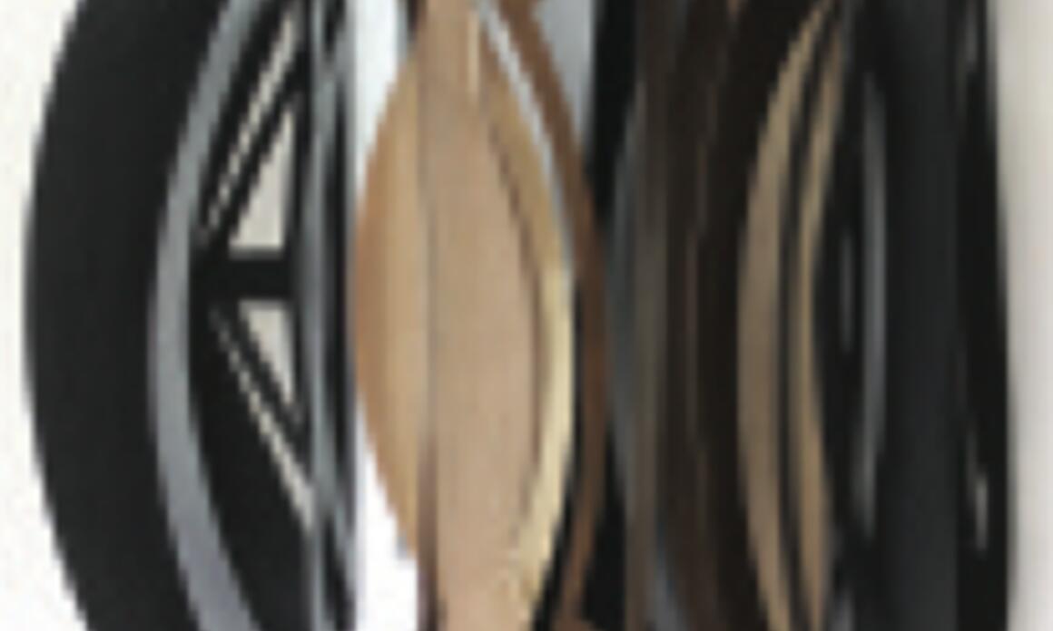 Sunflower 2, 1999. Laser-cut metal on wood 48 x 30 x 18 inches. Courtesy of the Artist. Metal cortado a laser s/madera, 122 x 76 x 45,7 cm. Cortesía del artista.