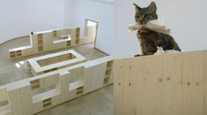 The psycho-geographical experience of Venice*