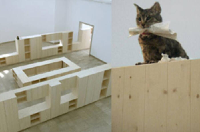 The psycho-geographical experience of Venice*