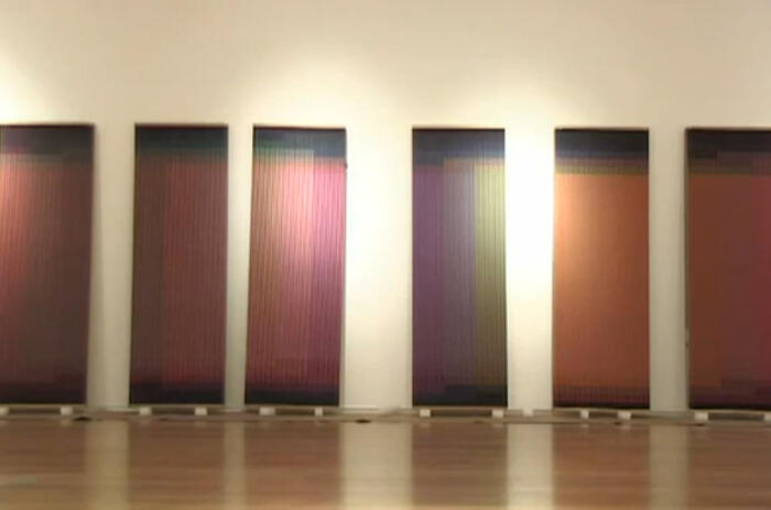 Carlos Cruz Diez