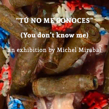 Banner Michel Mirabal HOME