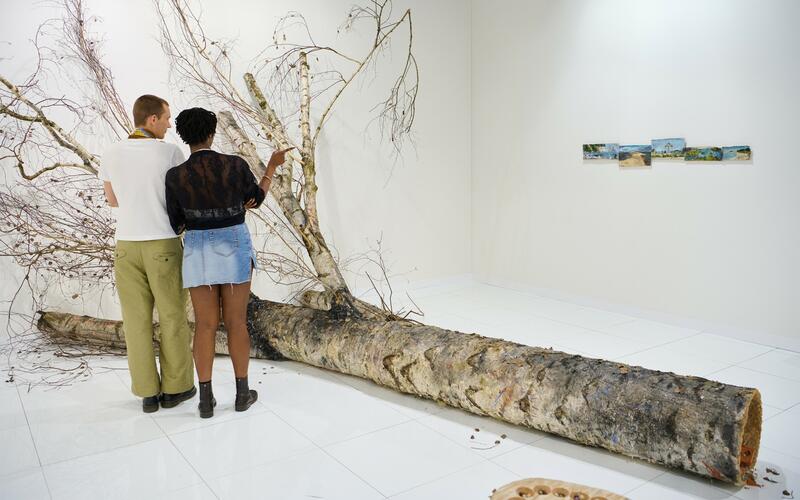 FAIR EXPANSION AND BRANDING: FROM LOCAL EVENTS TO GLOBAL POWERHOUSES