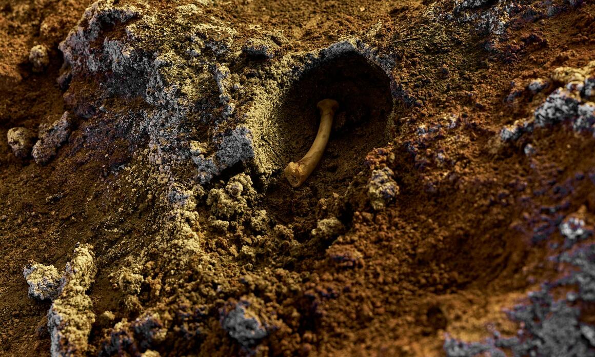 ADRIÁN VILLAR ROJAS TRANSFORMS THE ASPEN ART MUSEUM INTO GEOLOGICAL AND MYTHOLOGICAL CAVE