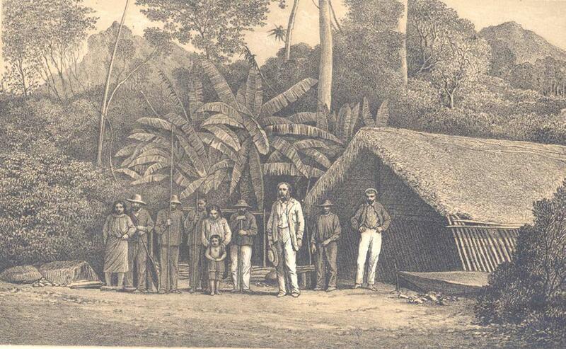 ANTONIO RAIMONDI AND THE REPRESENTATION OF NATURE IN PERU ANTONIO RAIMONDI AND THE REPRESENTATION OF NATURE IN PERU