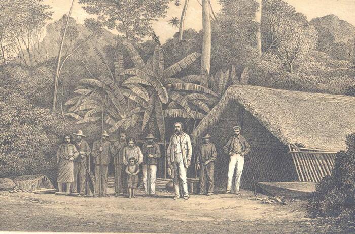 ANTONIO RAIMONDI AND THE REPRESENTATION OF NATURE IN PERU ANTONIO RAIMONDI AND THE REPRESENTATION OF NATURE IN PERU
