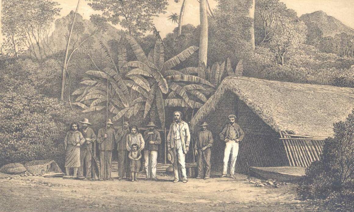 ANTONIO RAIMONDI AND THE REPRESENTATION OF NATURE IN PERU