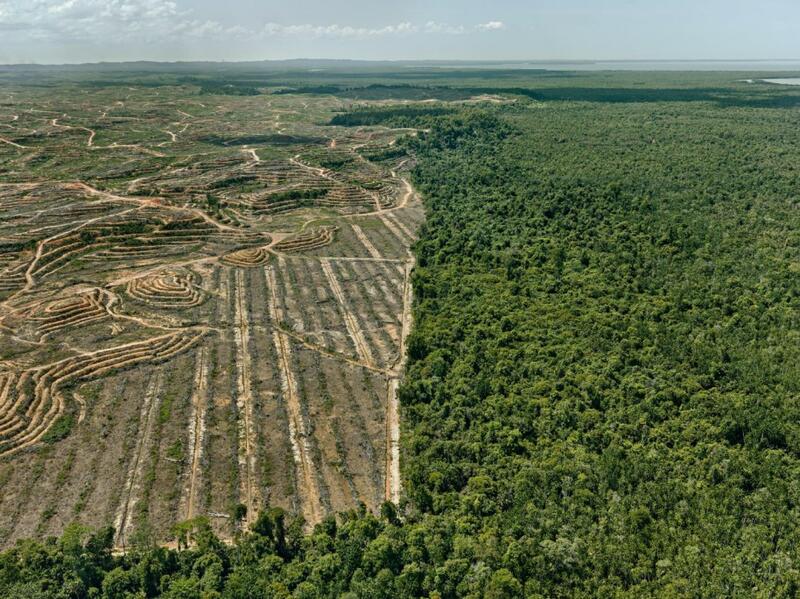 ANTROPOCENO: LA MUESTRA COLECTIVA SOBRE EL MEDIO AMBIENTE EN PROA