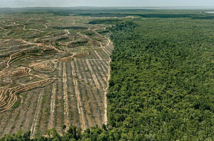 ANTROPOCENO: LA MUESTRA COLECTIVA SOBRE EL MEDIO AMBIENTE EN PROA