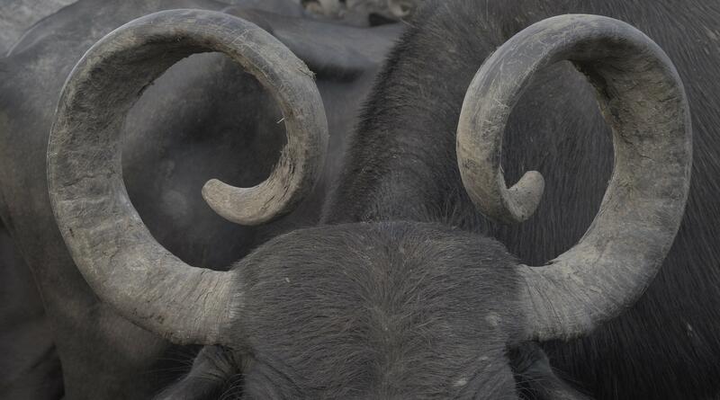 BIENALSUR CURATES LATIN AMERICAN VIDEO EXHIBITION AT THE REINA SOFÍA 