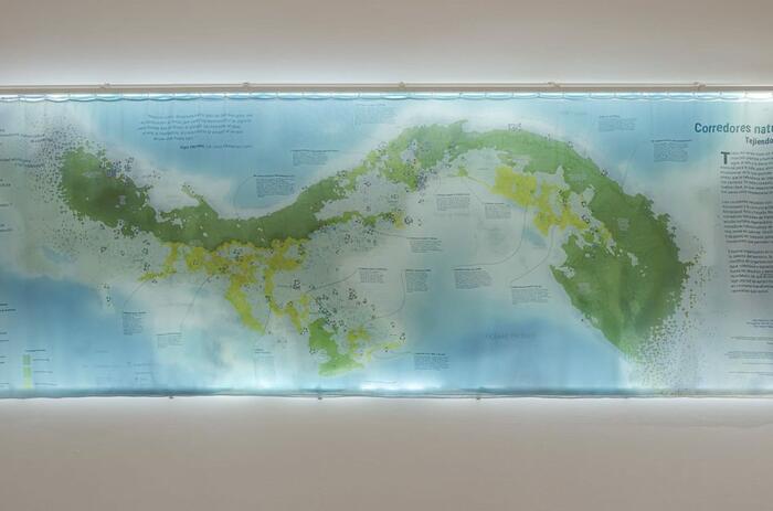 CÚMULUS: TEN YEARS OF ECOLOGY AND COLLABORATION IN PANAMA 