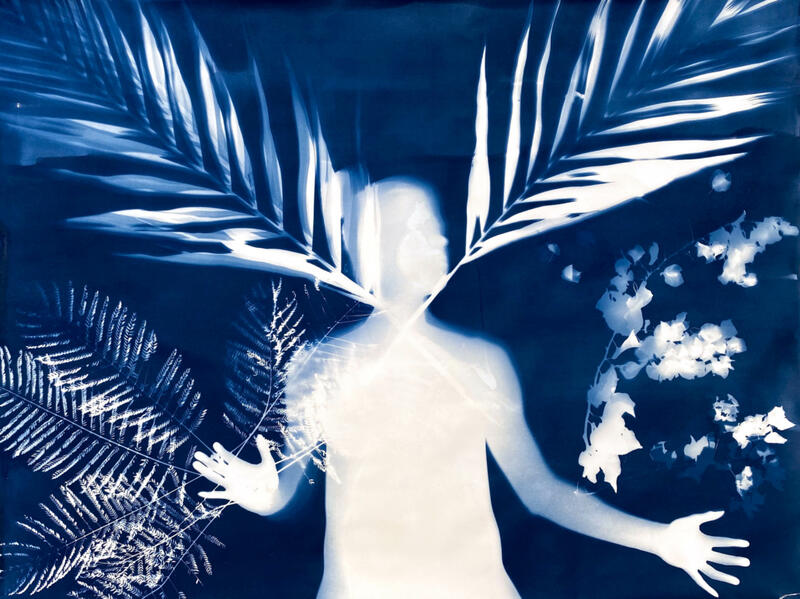 SEASON HIGHLIGHTS – “NATURAL TRANSCENDENCE” AT OOLITE ARTS MIAMI SEASON HIGHLIGHTS – “NATURAL TRANSCENDENCE” AT OOLITE ARTS MIAMI