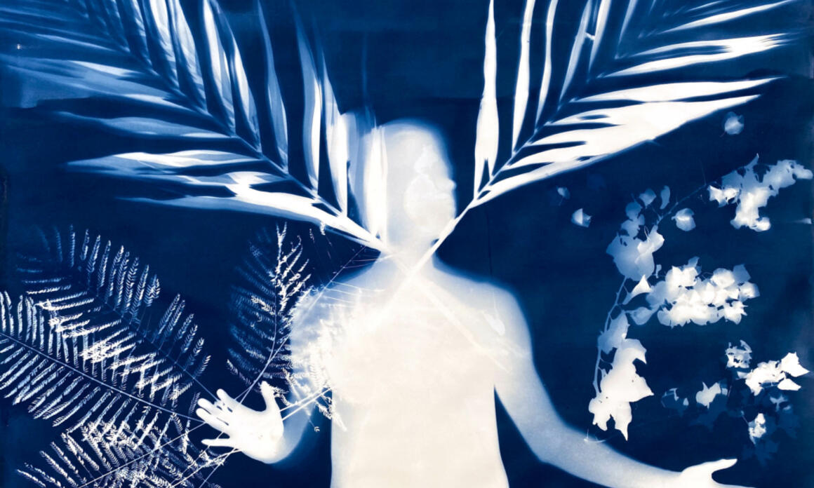 SEASON HIGHLIGHTS – “NATURAL TRANSCENDENCE” AT OOLITE ARTS MIAMI
