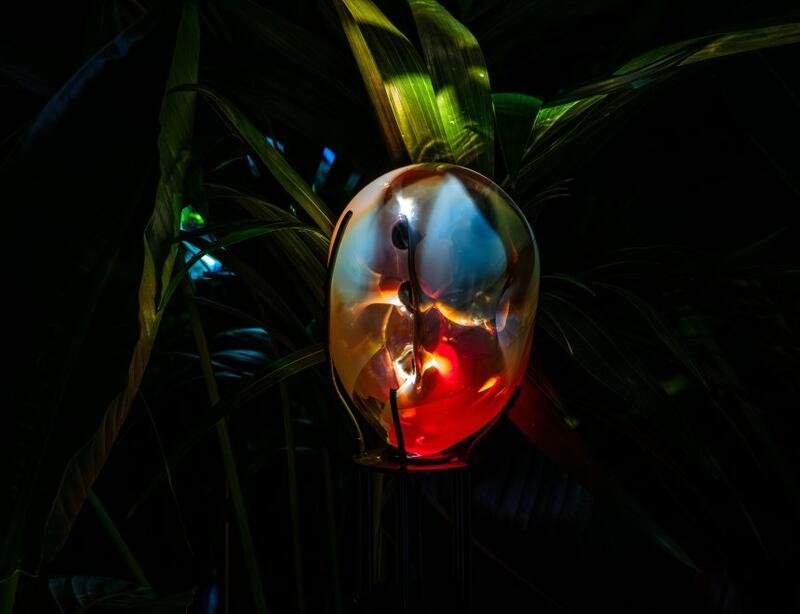 TANIA CANDIANI INSCRIBES AN ECOLOGY OF THE INVISIBLE AT IVAM