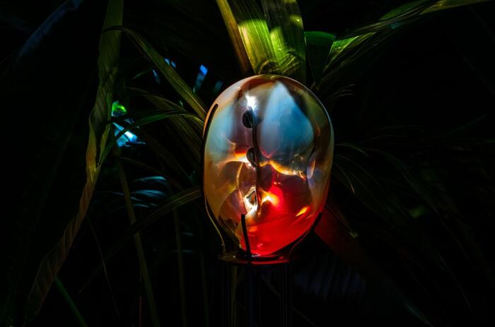 TANIA CANDIANI INSCRIBES AN ECOLOGY OF THE INVISIBLE AT IVAM