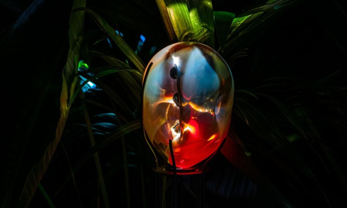 TANIA CANDIANI INSCRIBES AN ECOLOGY OF THE INVISIBLE AT IVAM