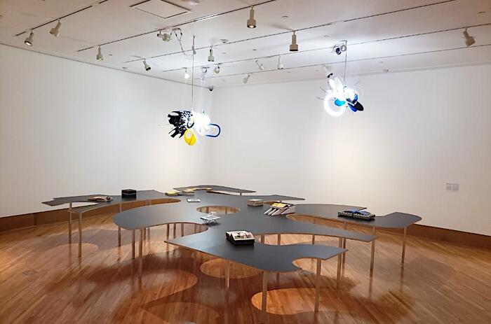 Installation view of Rafael Domenech.