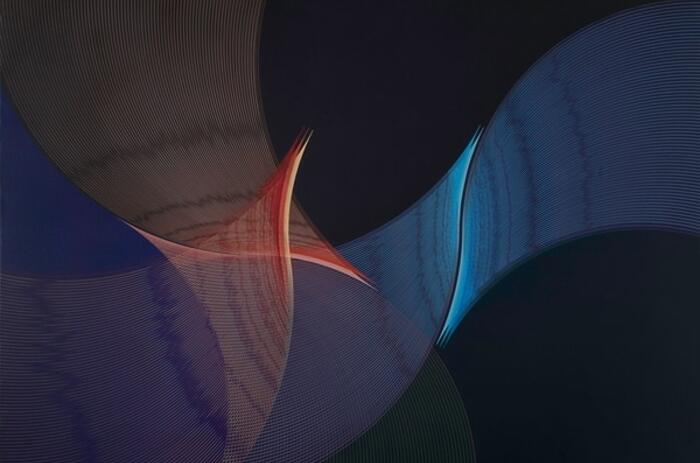 MACBA presents Eduardo Mac Entyre: Sutilezas de la línea