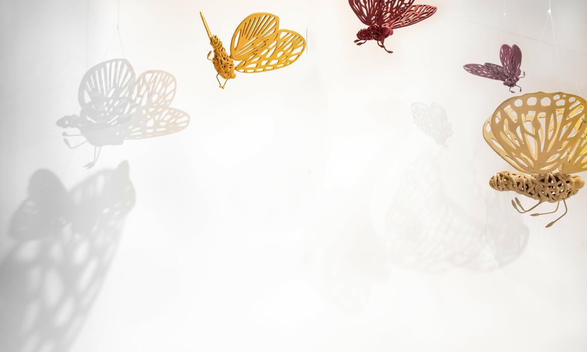 THE GOLD OF DREAMS: ANDRÉS PAREDES AT THE MACRO TOWER
