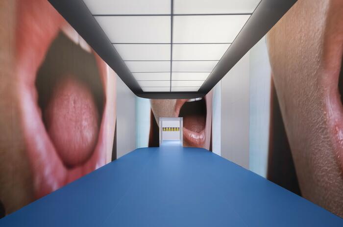 DENMARK’S PAVILION AT VENICE BIENNALE EXAMINES PORNOGRAPHY, SCIENCE, AND HUMAN REPRODUCTION