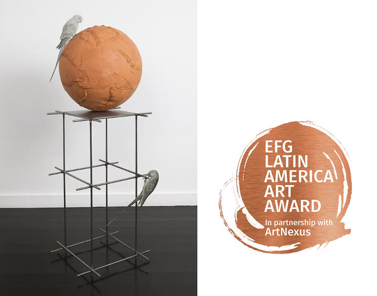 EFG LATIN AMERICA ART AWARD PRESENTS THE NOMINATED ARTIST AT arteBA 2020