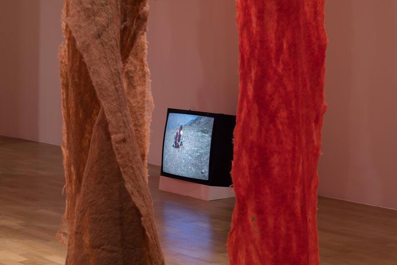THE INTERDISCIPLINARY UNIVERSE OF CECILIA VICUÑA IN LONDON