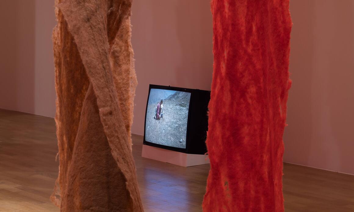 THE INTERDISCIPLINARY UNIVERSE OF CECILIA VICUÑA IN LONDON
