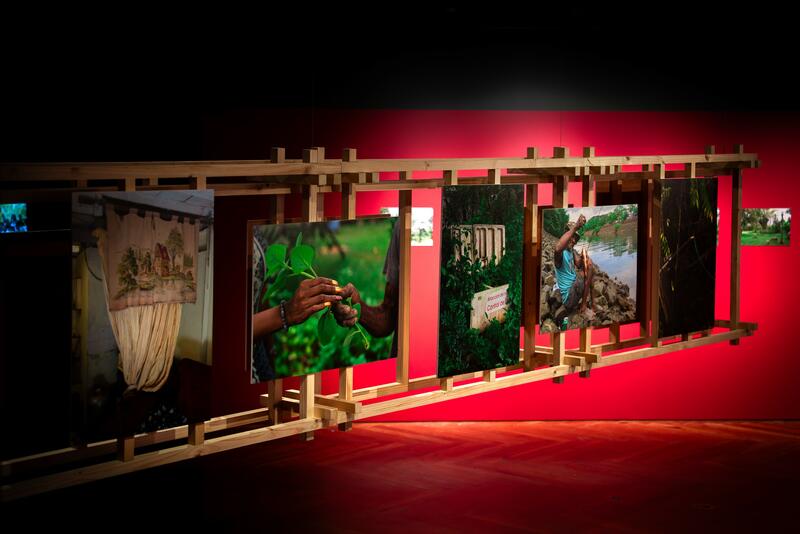 THE VALUE OF SOVEREIGNTY IN MR. BROWN'S GARDEN, EXHIBITION AT THE INTEROCEANIC CANAL MUSEUM