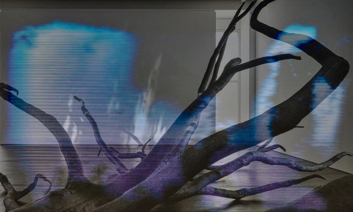 BETWEEN BEAUTY AND BEWILDERMENT, THE MENIL COLLECTION PRESENTS ALLORA & CALZADILLA: SPECTERS OF NOON