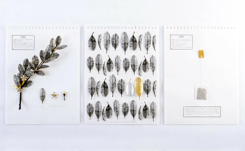 “BETWEEN COCA AND GOLD” AT THE 2025 NEW YORK TRIENNIAL