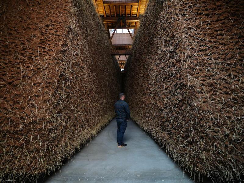 BETWEEN EARTH AND CONCRETE: DELCY MORELOS EXHIBITS IN LONDON