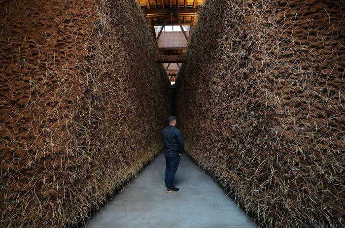 BETWEEN EARTH AND CONCRETE: DELCY MORELOS EXHIBITS IN LONDON