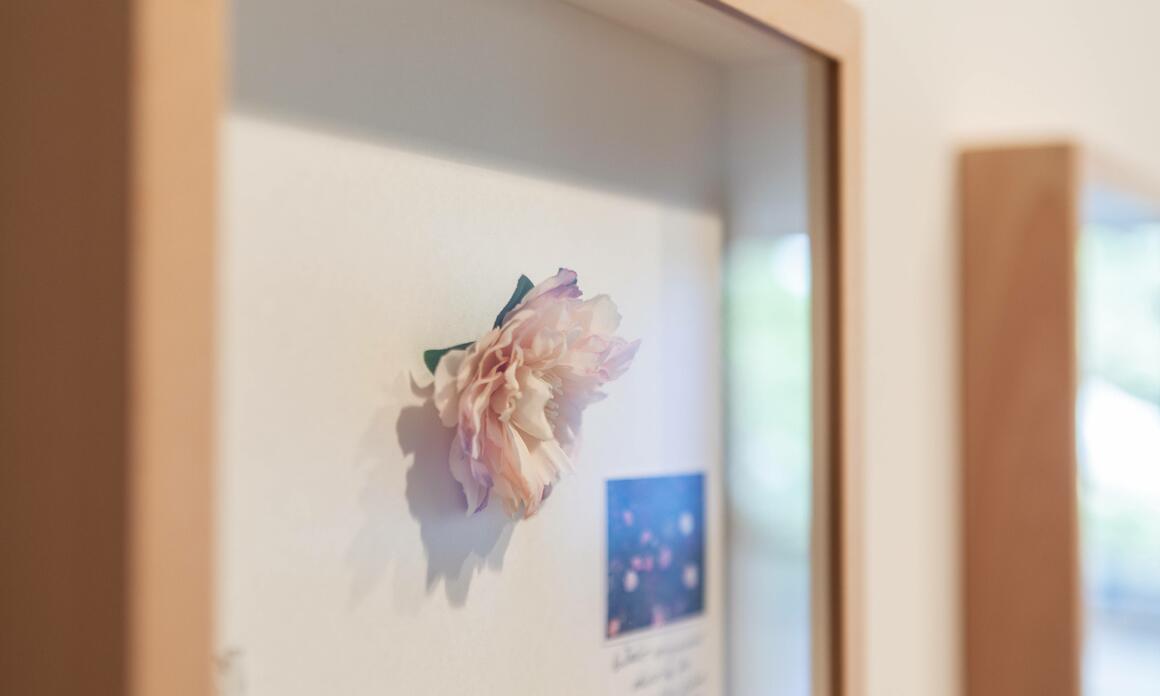 RAC FOUNDATION HOSTS THE BARAYA’S CAMELLIAS EXPEDITION 