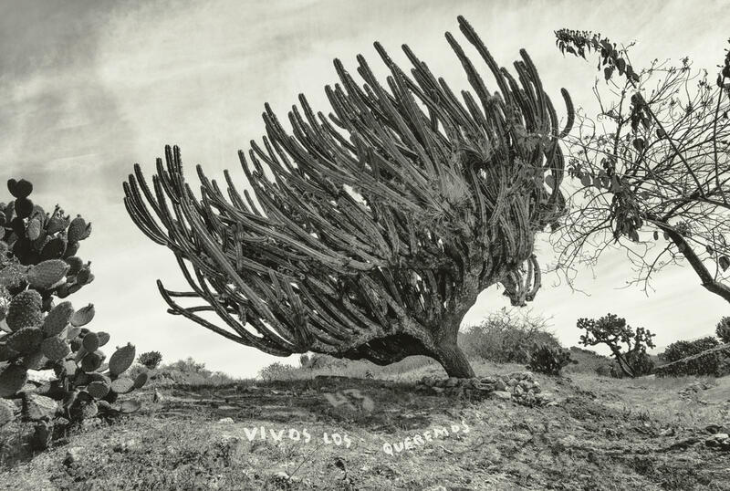 GETTY PUBLISHES “INSTANTE/REVELACIÓN”, A CENTURY OF MEXICAN PHOTOGRAPHY