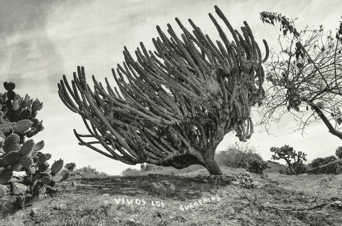 GETTY PUBLISHES “INSTANTE/REVELACIÓN”, A CENTURY OF MEXICAN PHOTOGRAPHY