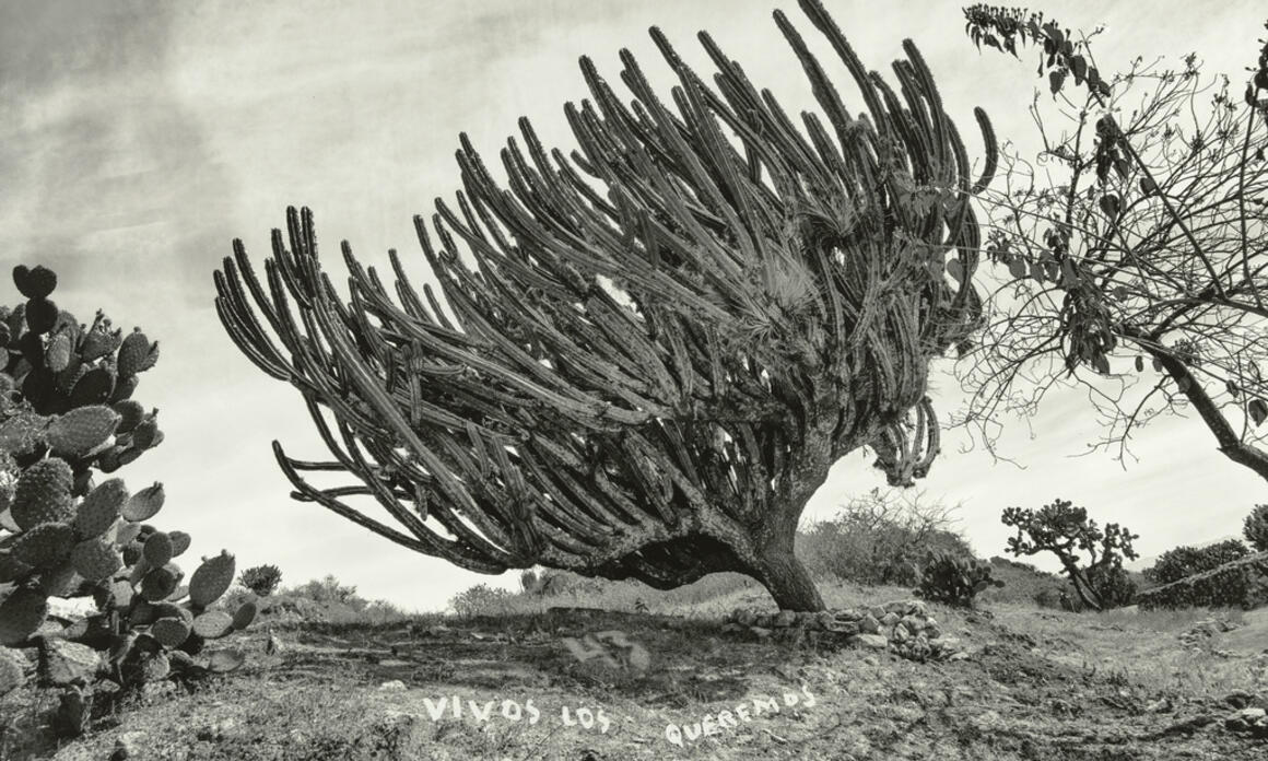 GETTY PUBLISHES “INSTANTE/REVELACIÓN”, A CENTURY OF MEXICAN PHOTOGRAPHY