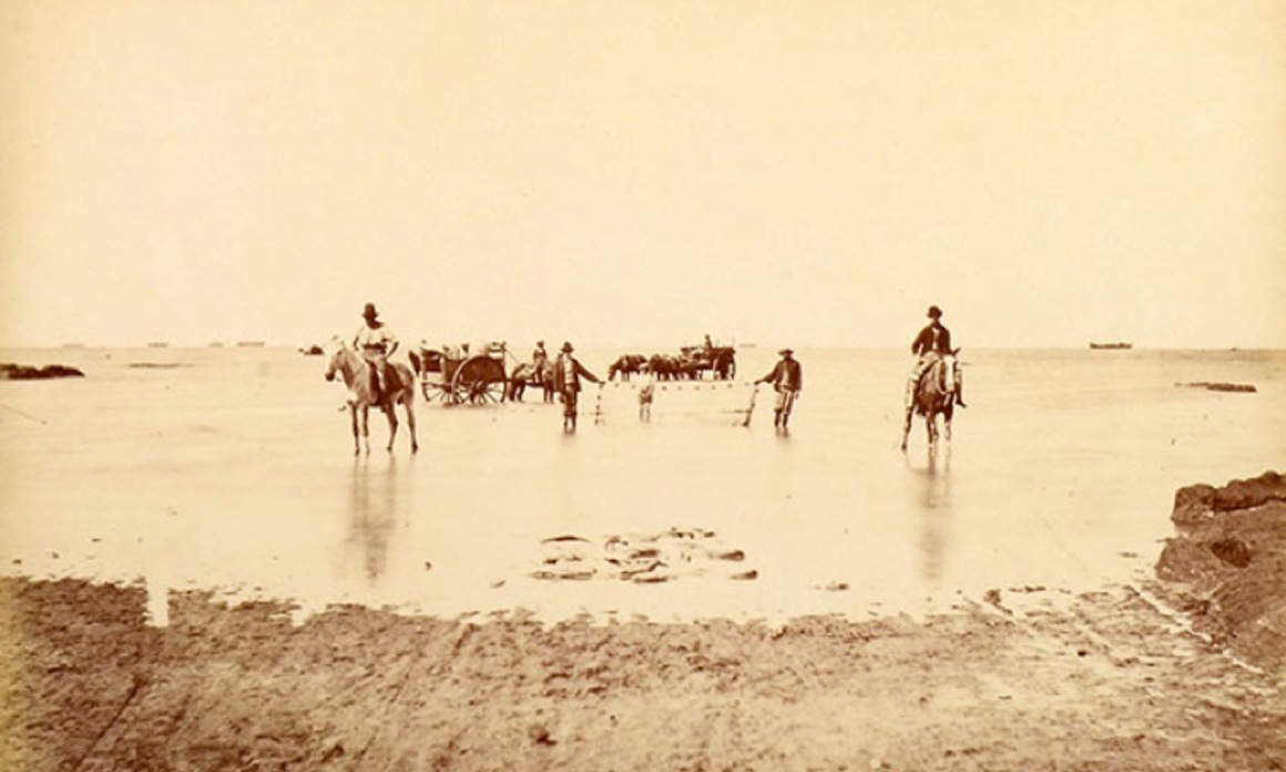 HILARIO ORGANIZES AN ONLINE AUCTION