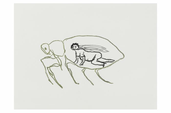 HISTORIES OF ECOLOGY: AN INTERNATIONAL COLLECTIVE EXHIBITION AT MASP