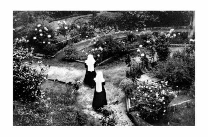 JULIA TORO AND THE RECORD OF THE EVERYDAY IN THE CHILEAN DICTATORSHIP