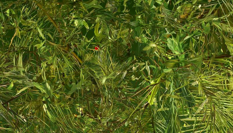 LIGHT ANIMATES ALBANO AFONSO'S FOREST IN MALLORCA