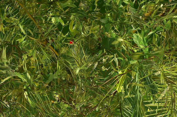 LIGHT ANIMATES ALBANO AFONSO'S FOREST IN MALLORCA